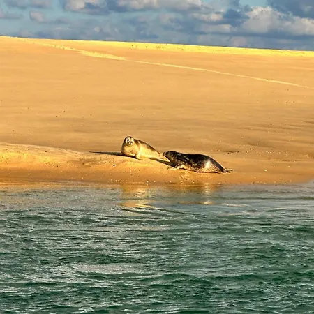 La Vie A Appartement *